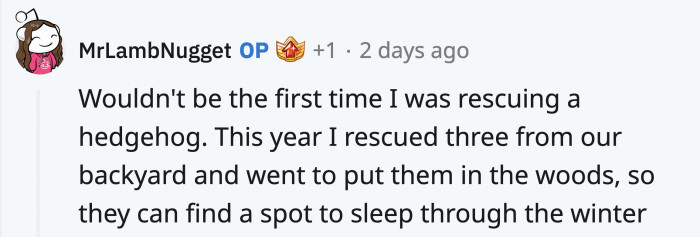 Looks like OP is the friendly neighborhood hedgehog rescuer.