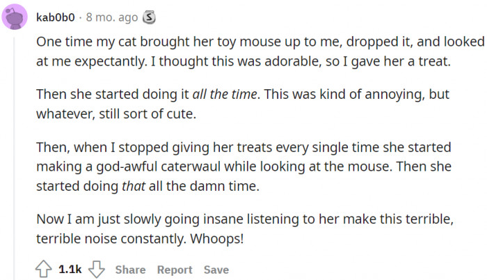 Bringing the toy rat to her master means getting a reward.