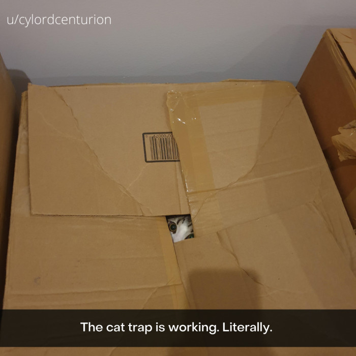 11. Literally