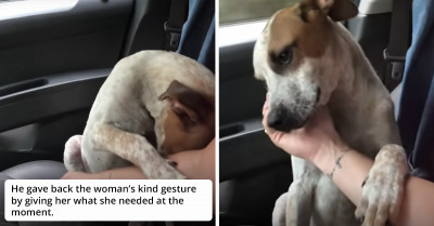 Woman Saves An Abandoned Dog, Then Receives A Heartfelt Appreciation From Him