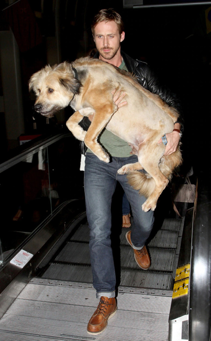 29. Ryan Gosling and his dog, George