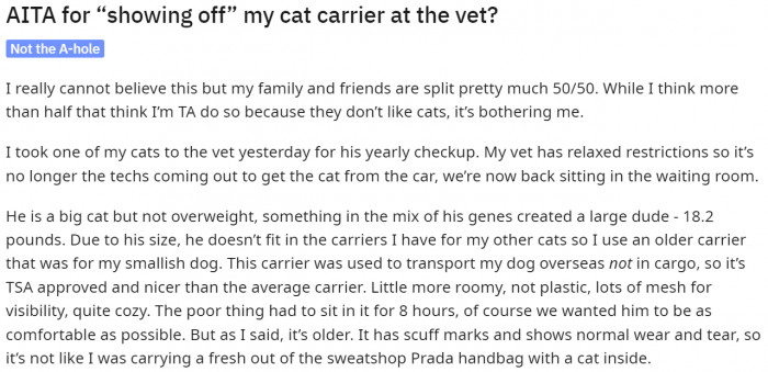 Story of the lady with an old dog carrier which she used to take her big cat to the vet.