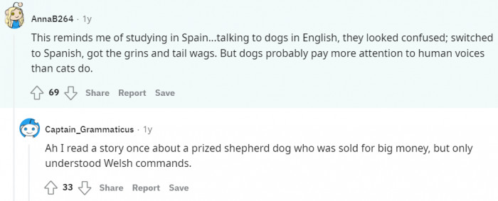 Dogs seem to have language barriers when it comes to humans communicating with them.