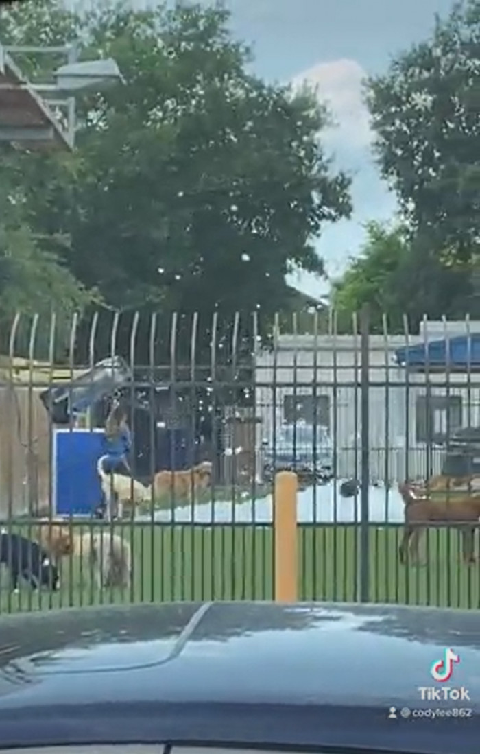 Train Had Passed And Pattison Had to Go...