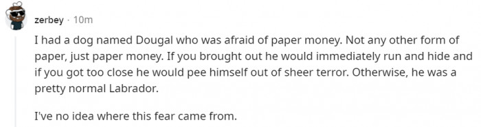 13. Yeah, that dog is smarter than most people. He knows that money is evil.