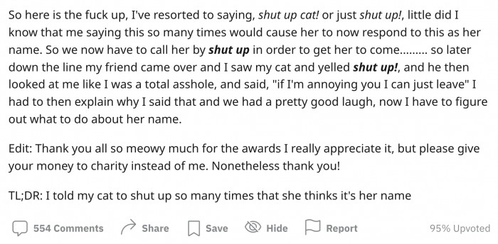 To add insult to injury, the cat owner's friend thought that he was being told to shut up. But the truth is that the original poster was just calling the cat.