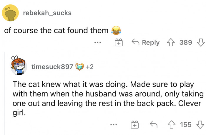 This whole thing was planned by the cat because they want to get rid of the wife.