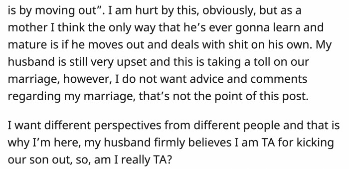 She thinks it might be the only way he'll learn, and her son seemed to view it as an opportunity to get OP off his back
