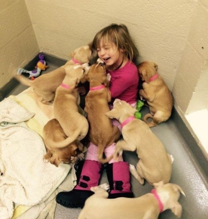 8. My daughter is volunteering to feed the pups at the local shelter.