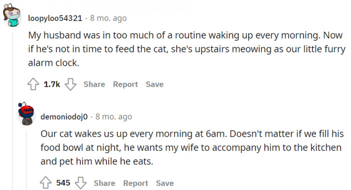 That's when you trained your cat to be a morning animal.