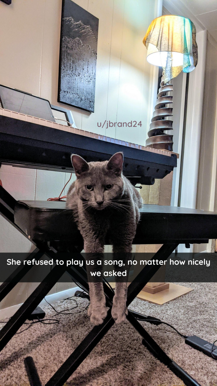 45. "Sing us a song, you're the piano man."