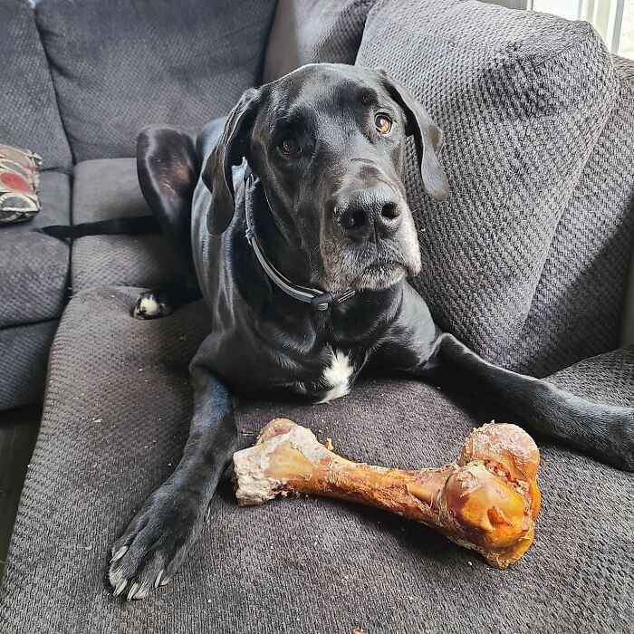 Check out Corbin, he's so cute!