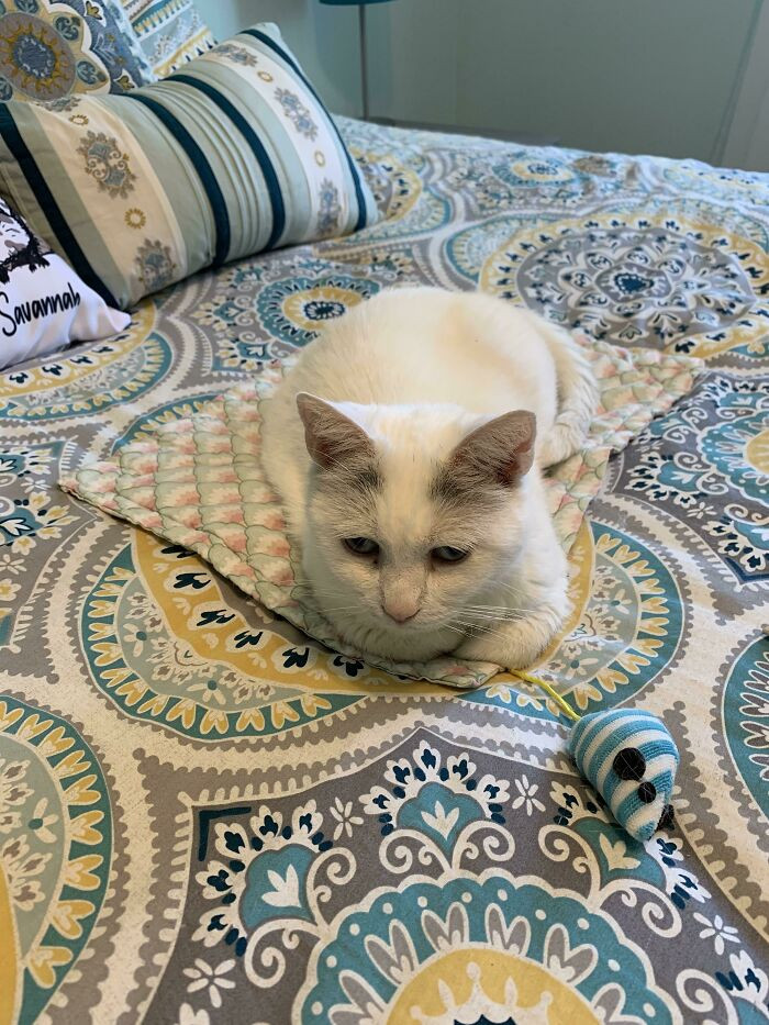 21. You can tell that blankie is her prized possession