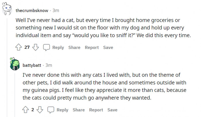 A little sniffing ritual. That's so cute, right?