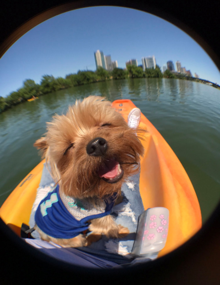 19. Someone is enjoying his canoe ride.