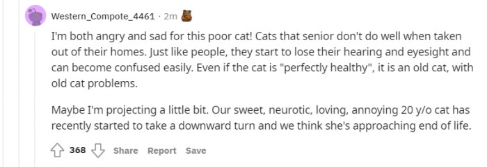 They have a point. Senior cats, or animals in general, don't do well with changes like rehoming them at that older age.