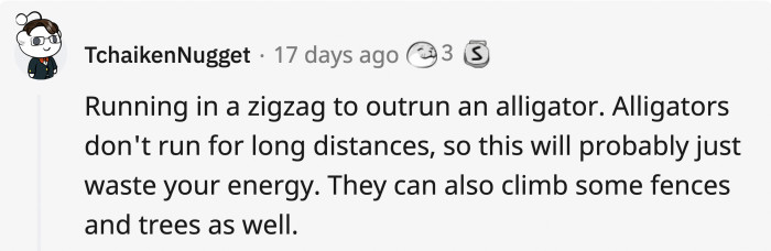 3. Alligators really like surprise attacks, so take note of these myths.