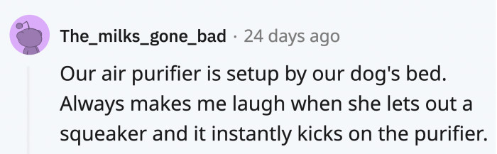 But then, apparently, your pets can join in too.