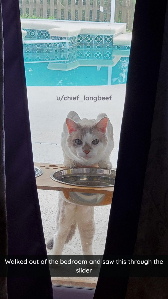 28. Is this image cursed or blessed? Only you can decide.