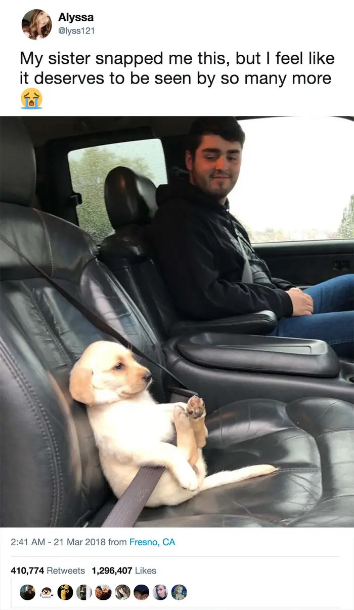 3. Such a good boy on the shotgun!