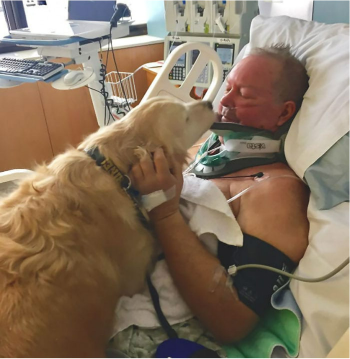 20. It's clear that the mutt wanted to help the man get better in every way possible!