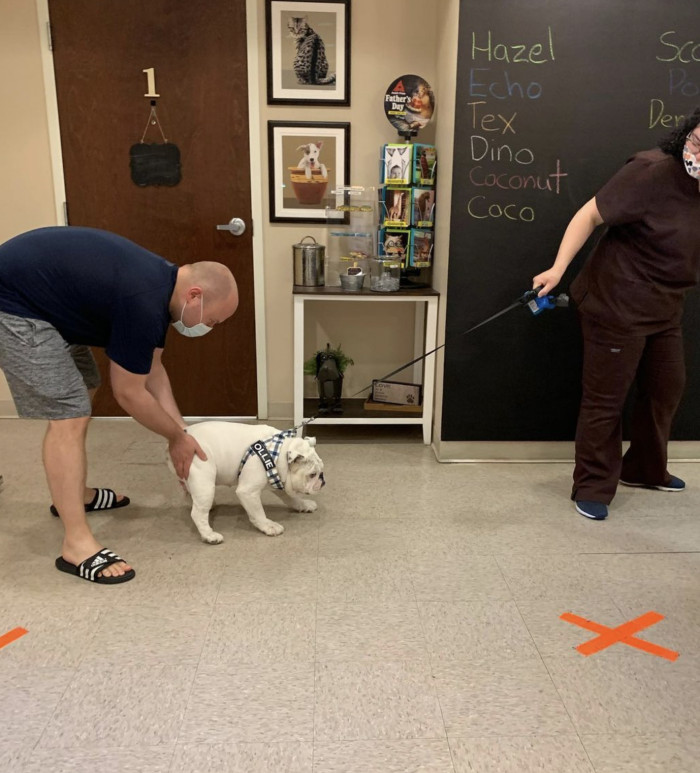 Everyone needs a little push once in a while, especially when you're at the vet clinic
