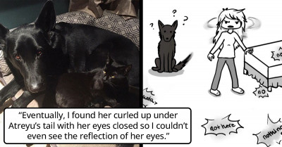 Woman Tells A Dramatic Story About How She Finds Her Missing Black Kitty Who Blends Seamlessly Into Her Surroundings