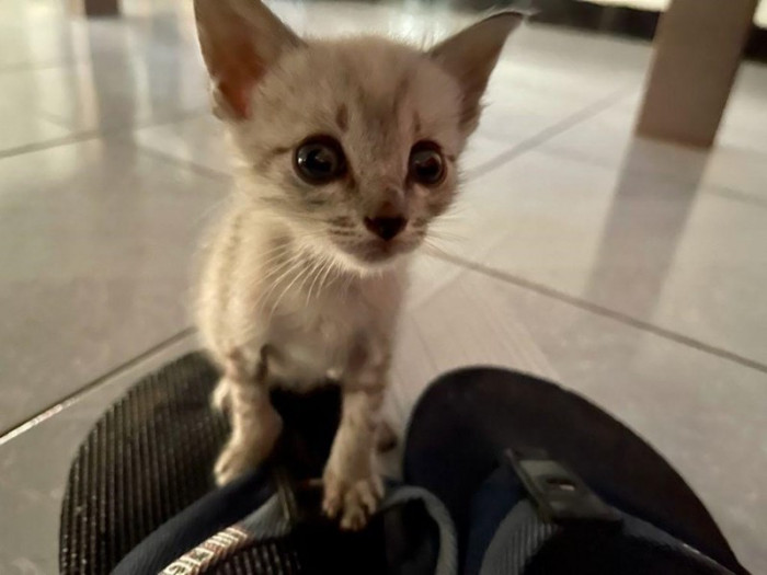 That's when she was given her name.