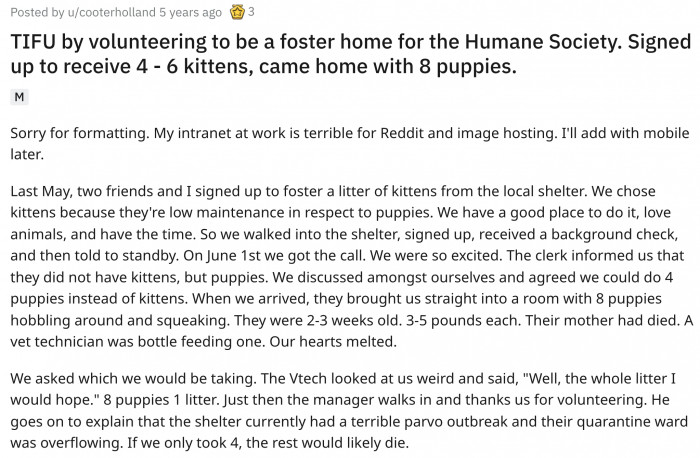 They were expecting to take care of kittens.