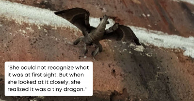Woman Gets the Nickname Khaleesi from Her Family When She Spotted a Dragon-like Creature in Her House