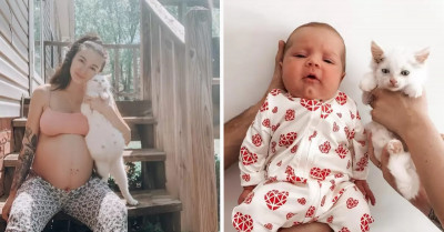 Woman Shares Her Pregnancy Journey With Her Cat That Is Also Pregnant