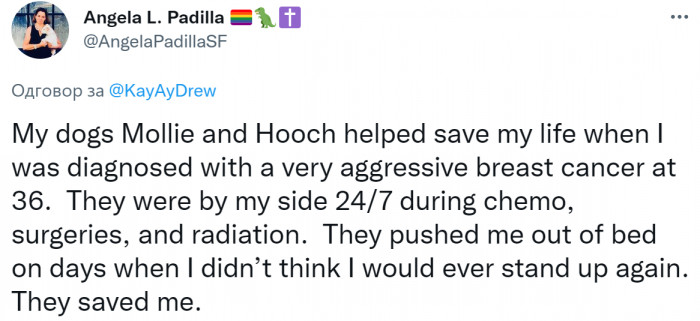 #9 But they can also help people get through some rough periods.