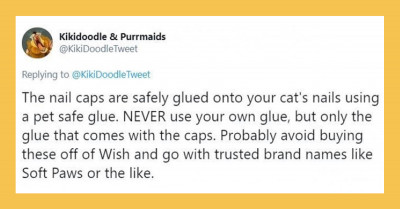 People Online Are Talking About The Alternatives To Declawing Cats And Here Are The Best Replies