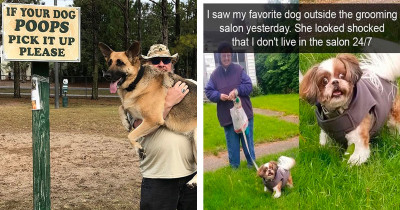 40 Honest And Wholesome Memes That Perfectly Describe A Life With A Dog
