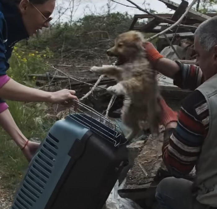 When he was ready, one of his rescuers took him home and began teaching him social skills.