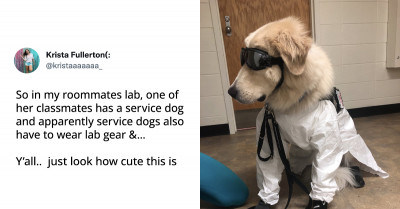 These 18 Adorable Animal Tweets Show How Great and Honest Animals Are