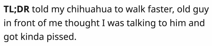 Dog-walking scene suggesting commands were misunderstood by an older man.
