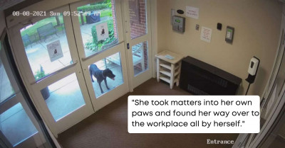 Canny Canine Sneaks Out Of Her Home To Surprise Owner At Her Workplace