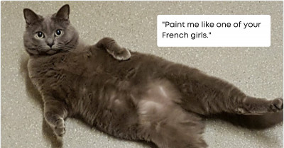 This Man Sparked A Twitter War By Claiming His Cat Is The Cutest Of All