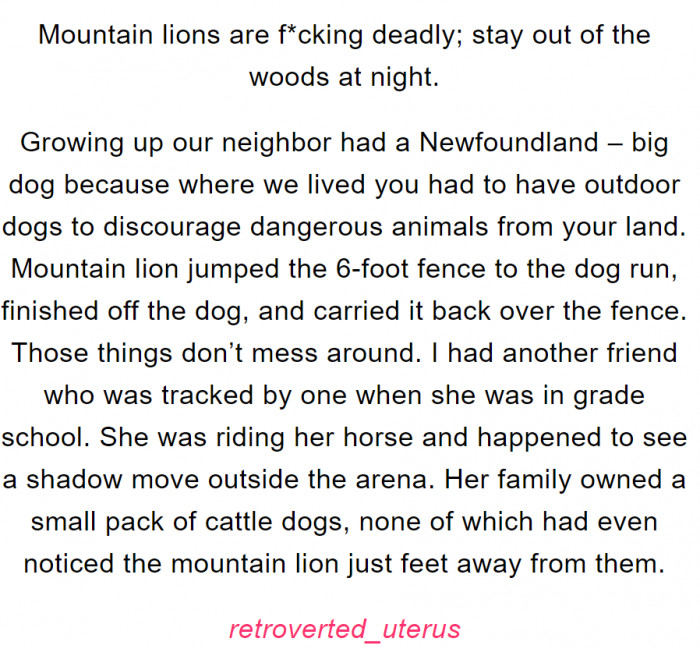 11. Beware of mountain lions; they are seriously dangerous animals.