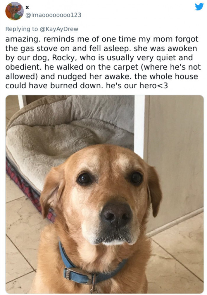 #10 Rocky to the rescue.