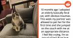 Stories Of Cats And Kittens Finally Coming Out Of Their Shells To Show Affection To Their Hoomans