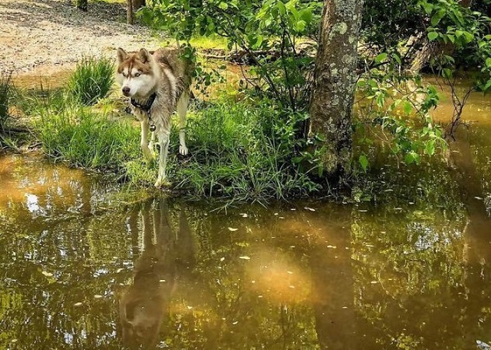 We are going to find something amazing...