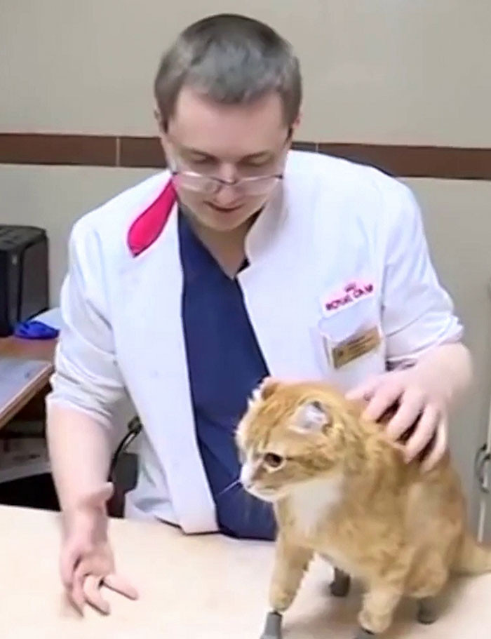 Ryzhik seated beside caregivers, prosthetic paws strapped securely for mobility