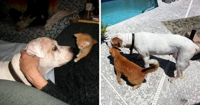 April and Libra grew up side by side, with Libra becoming a reliable source of support for the young girl.