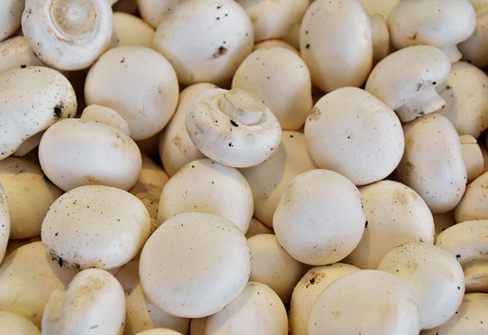 Rinsing mushrooms isn't always a good idea.