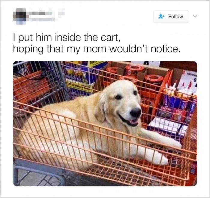 She won't notice at all!