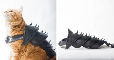 Guy Turns His Cat Into A Warrior Badass By 3D Printing Him Battle Armor