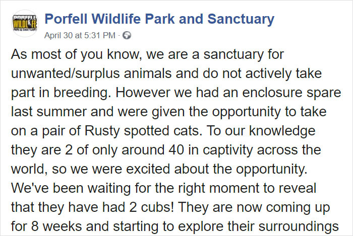 The sanctuary's original announcement: