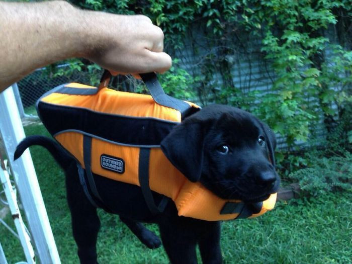 4. “This briefcase contains important lab results.”